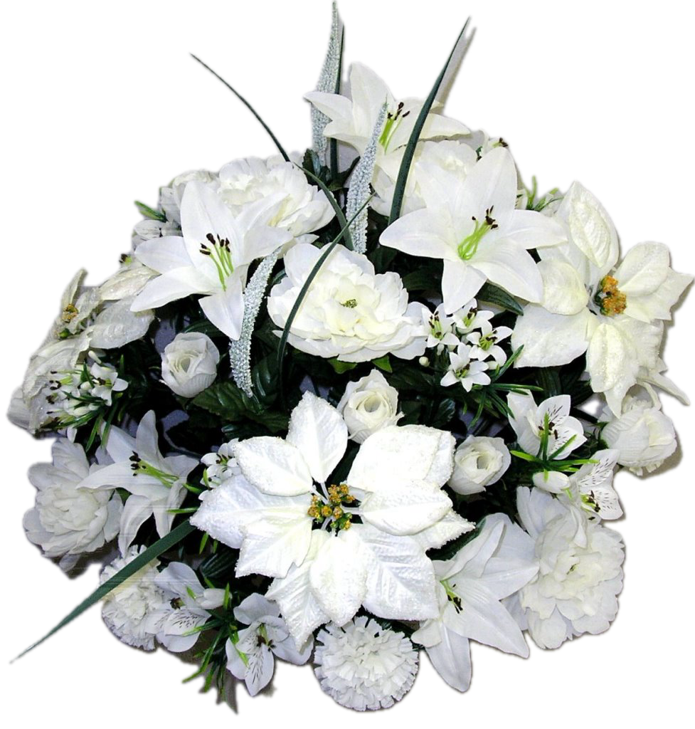 White Poinsettia Christmas Mixed Bush