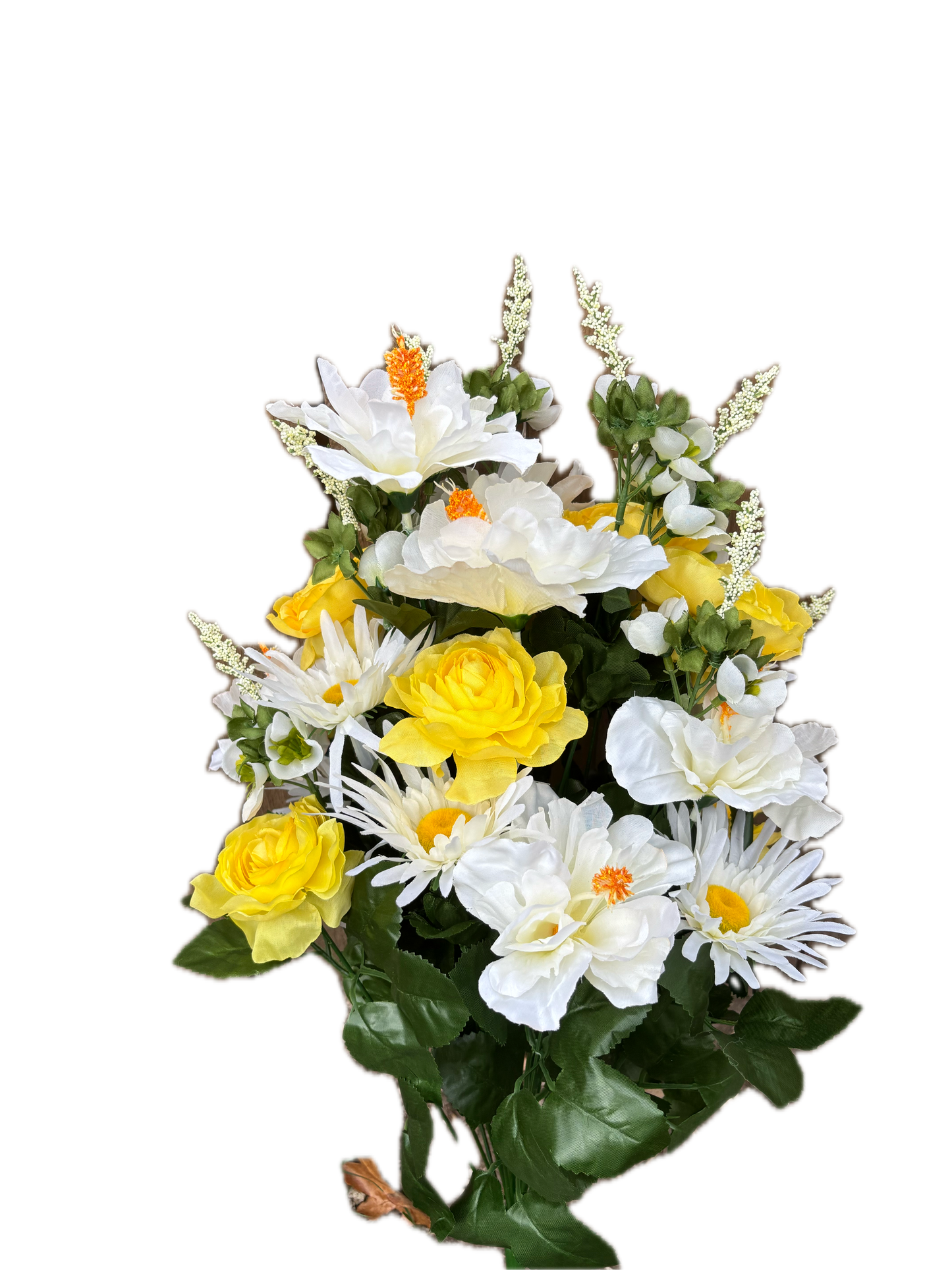 Yellow & White Hibiscus Rose Mix Bush