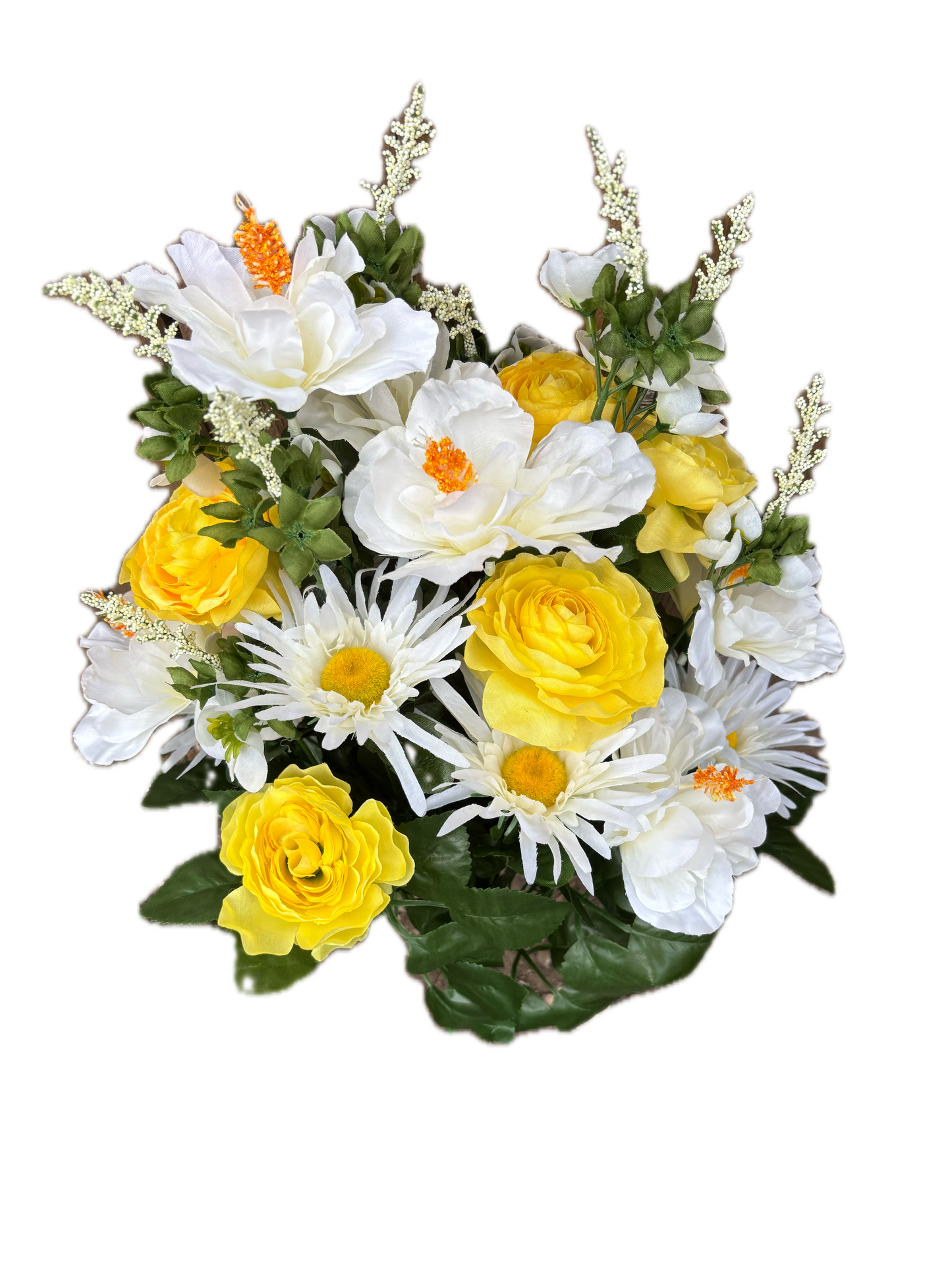 Yellow & White Hibiscus Rose Mix Bush