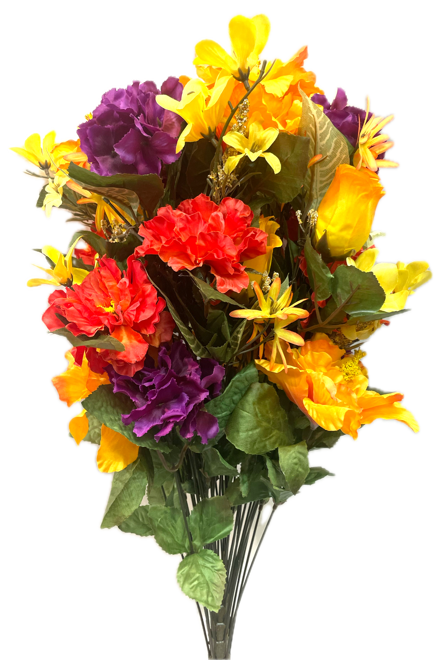 Fall Hibiscus, Zinnia & Rose Bush