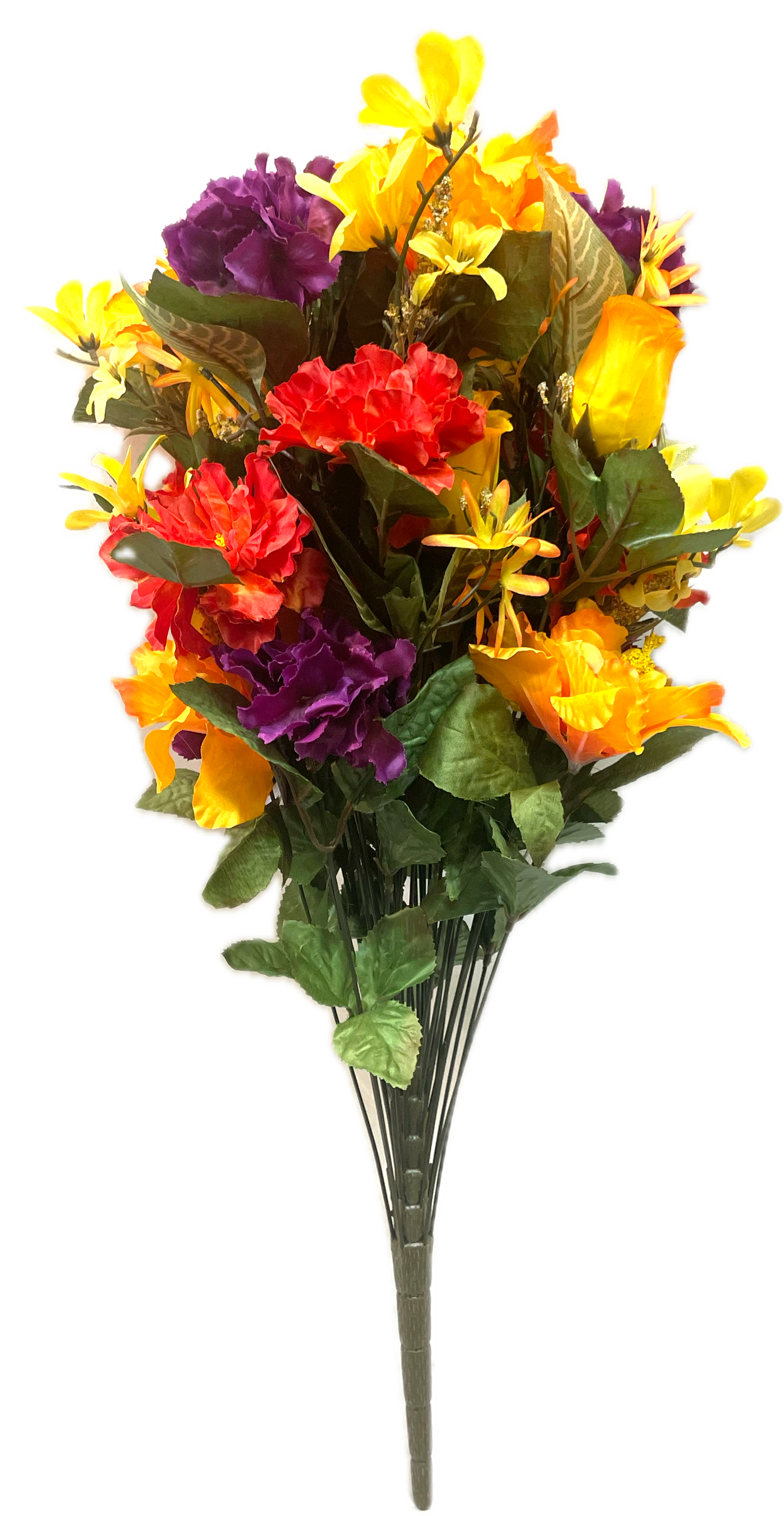 Fall Hibiscus, Zinnia & Rose Bush