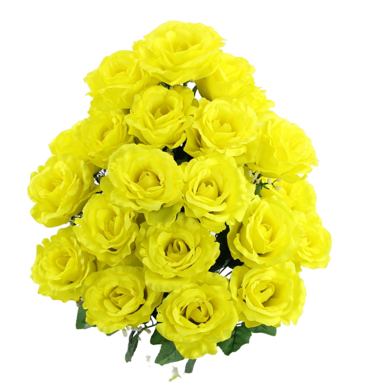 Yellow Rose Bush