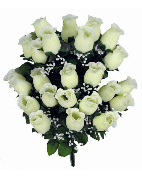 Cream Rosebud Bush