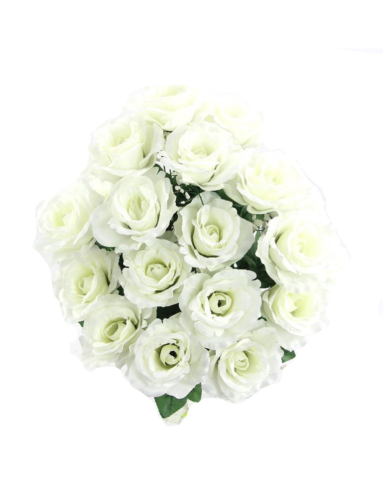 (24) Full White Roses Bush