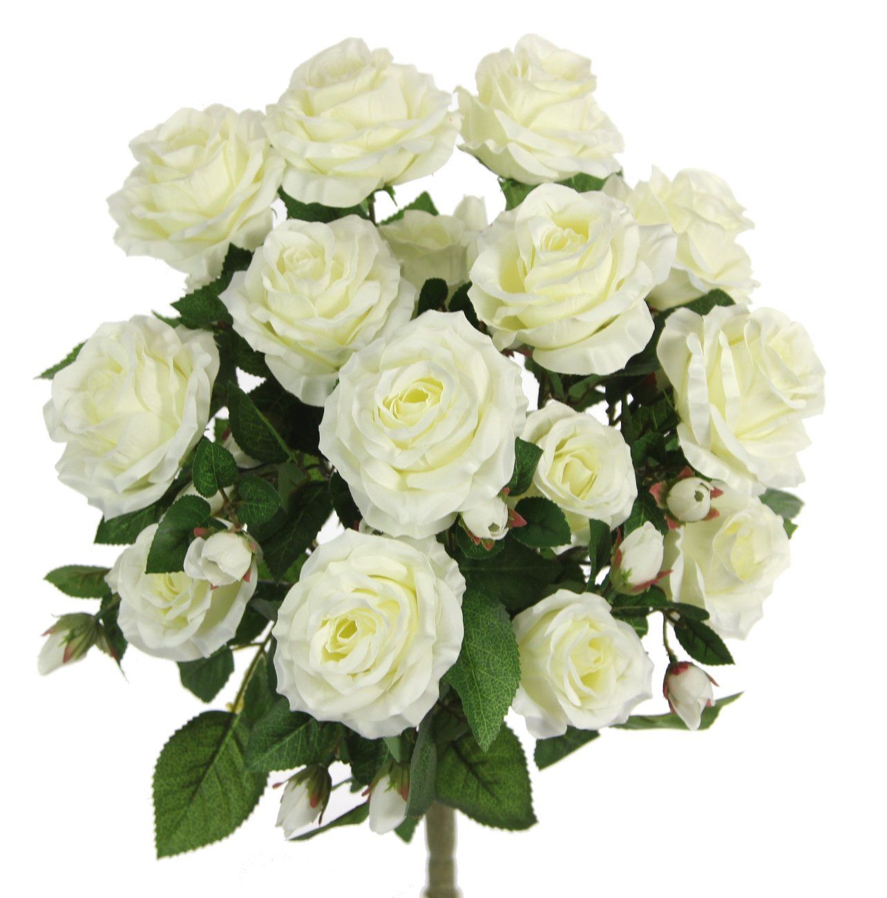 Premium Cream Rose Bush with 15 Roses-5 available colors