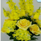 Yellow Rose and Hydrangea Bush