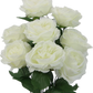 Cream Rose Bush
