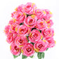 Pink Rose Bush