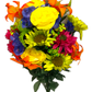 Yellow, Purple, Kiwi, Orange & Pink Sunflower Mix Bush