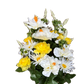 Yellow & White Hibiscus Rose Mix Bush