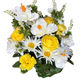 Yellow & White Hibiscus Rose Mix Bush
