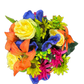 Yellow, Purple, Kiwi, Orange & Pink Sunflower Mix Bush