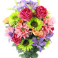Kiwi, Pink & Purple Sunflower Dahlia Mix Bush