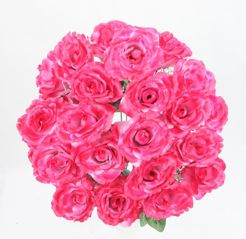 Premium Open Very Full Rose Flowers Beauty Bush