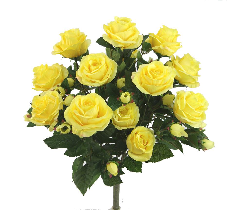 Premium Yellow Rose Bush with 15 Roses-5 available colors
