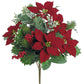 Poinsettia Christmas Bush